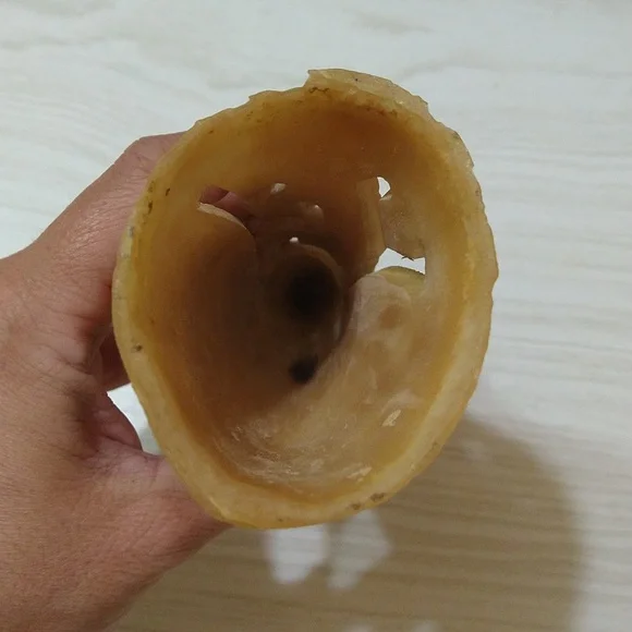 Vintage Hand-Carved Peacock Figurine - Made From Water Buffalo Horn - Picture 5 of 5